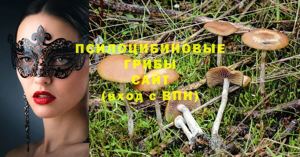 прущие грибы Строитель