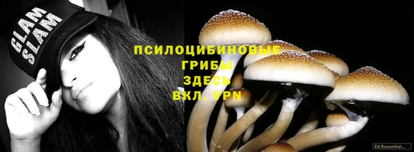 ешки Ступино
