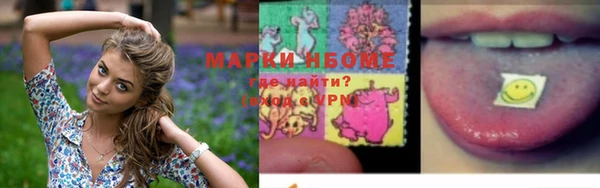 прущие грибы Строитель