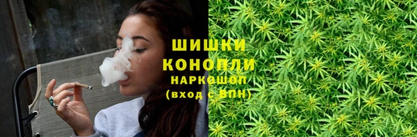 прущие грибы Строитель