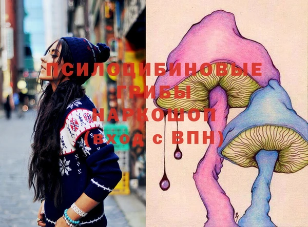 прущие грибы Строитель